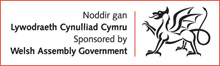 Welsh Assembly Government